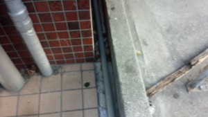 IMG_20141226_075715[1]