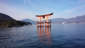 IMG_20150105_101511[1]